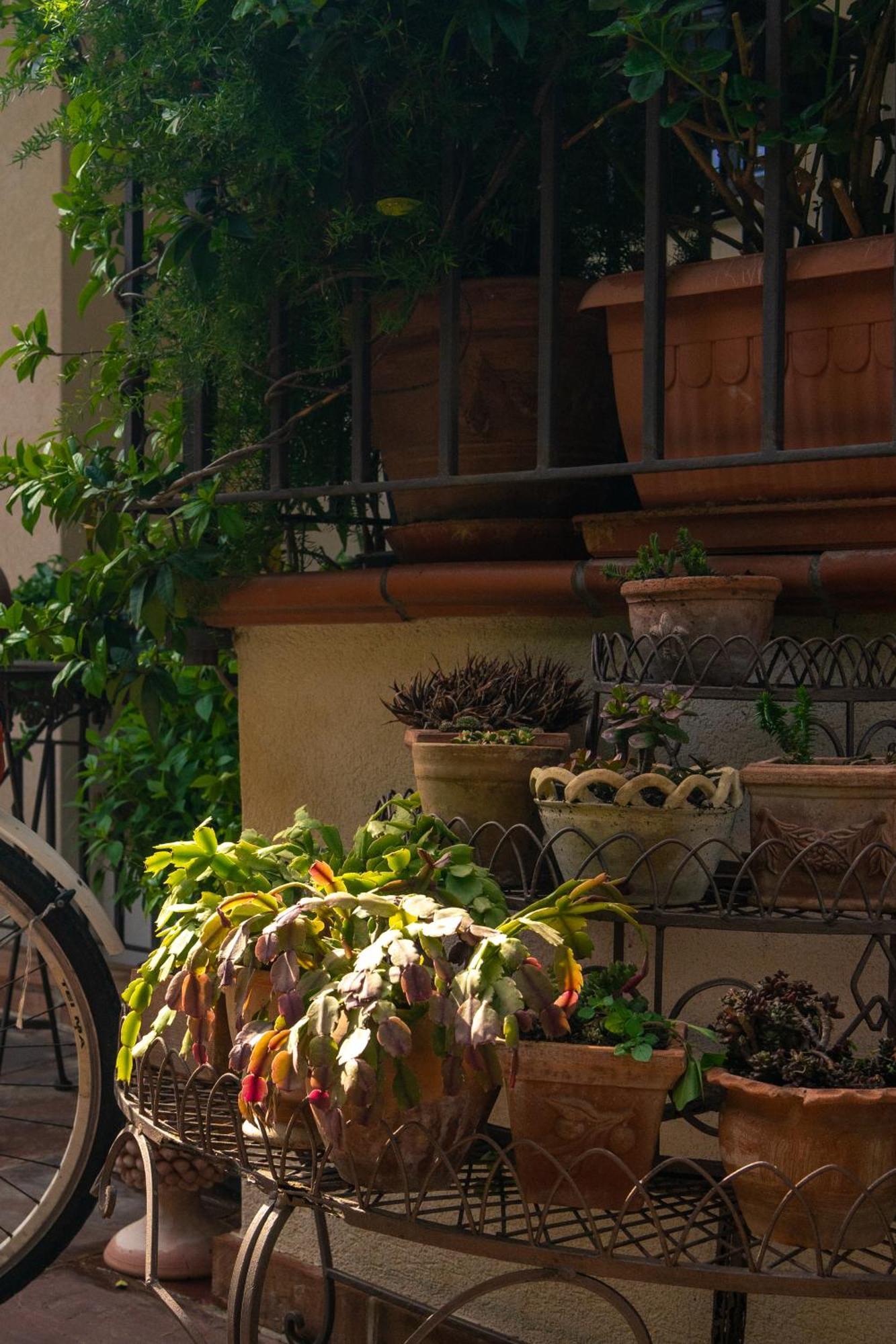 Guest House Antichi Ulivi Монделло Экстерьер фото